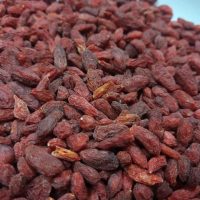 Bayas de goji
