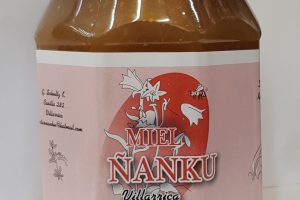 Miel de quillay Ñanku