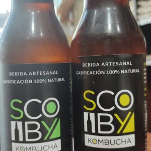 Kombucha