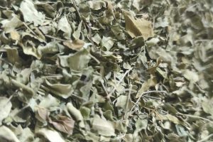 Moringa 15 grs